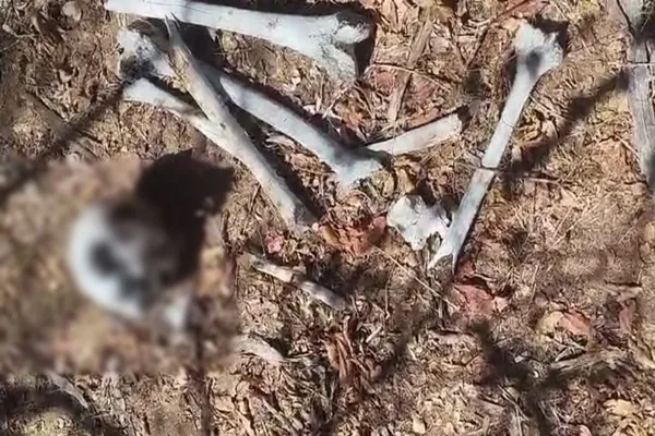 Ossada humana que pode ser de homem desaparecido há mais de 10 anos é encontrada na zona rural de Malhada