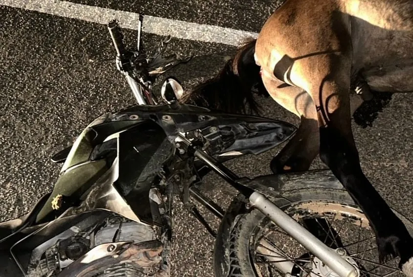 Motociclista é vítima de acidente em Muquém do São Francisco