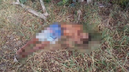 Corpo com marcas de tiros é encontrado na zona rural de Riachão do Jacuípe