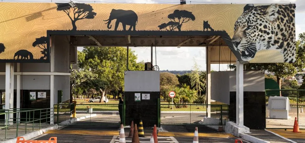 Suspeita de gripe aviária fecha Zoológico de Brasília