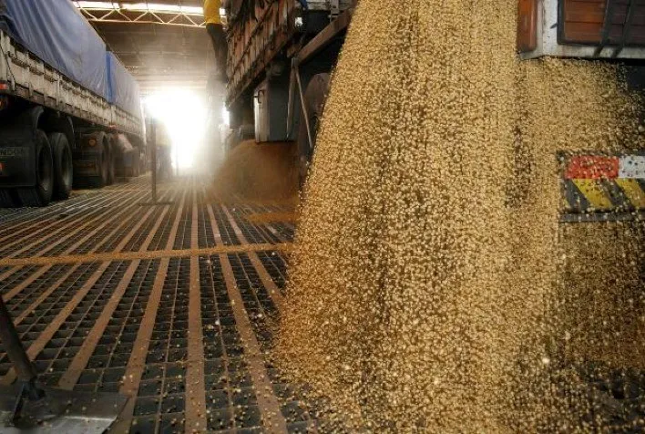 Infraestrutura e logística travam avanços da soja no Brasil, apesar de boa produção