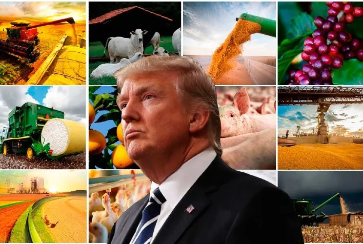 Taxas dos EUA sobre produtos brasileiros geram alerta para segurança alimentar no país