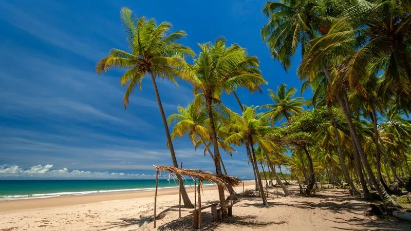 Turista mineiro é encontrado morto em praia de Maraú, no sul da Bahia