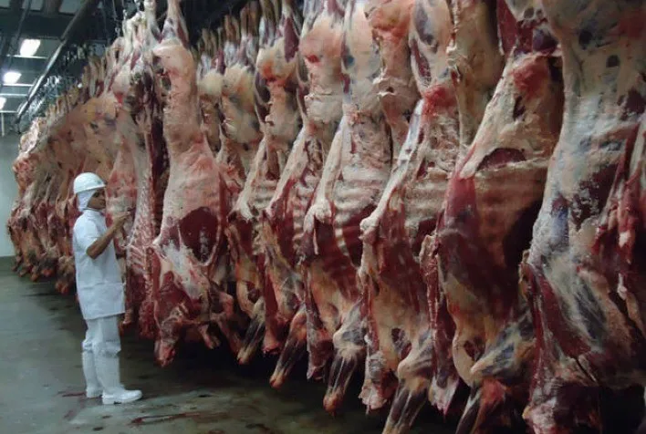Mato Grosso registra maior exportação de carne bovina da história em novembro