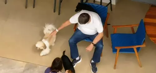 Prisão Domiciliar de Bolsonaro: Recuperação de saúde ou flexibilização da pena?