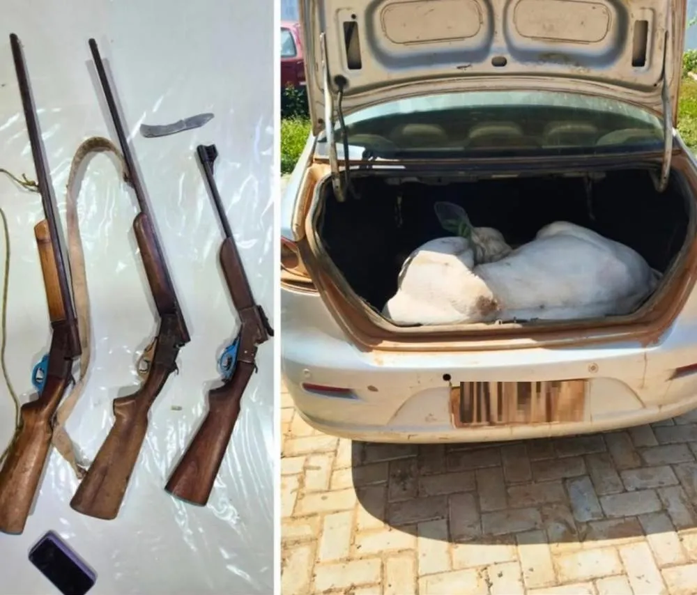 Homem é preso em flagrante por furto de gado e porte ilegal de armas no oeste da Bahia