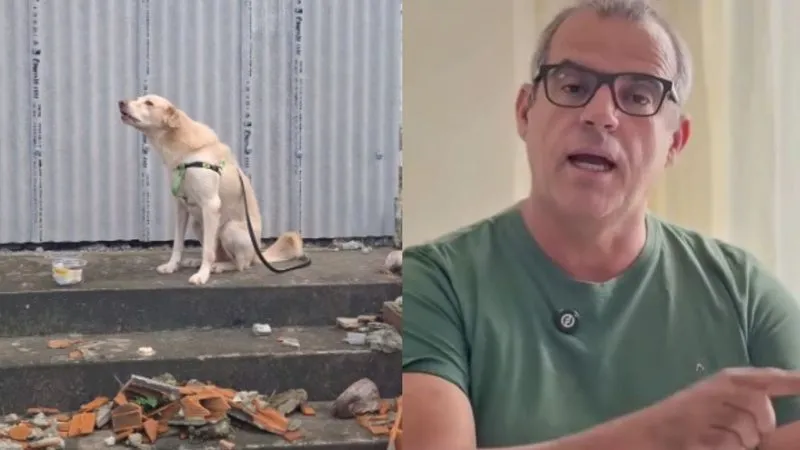 Vereador recua após sugerir eutanásia de cães abandonados em Maracás