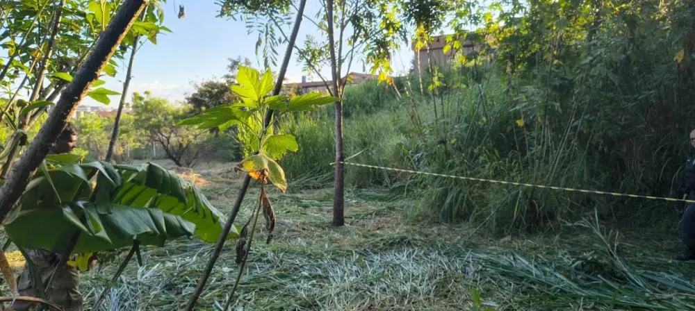 Mulher é encontrada morta em parque de Belo Horizonte; polícia investiga o caso