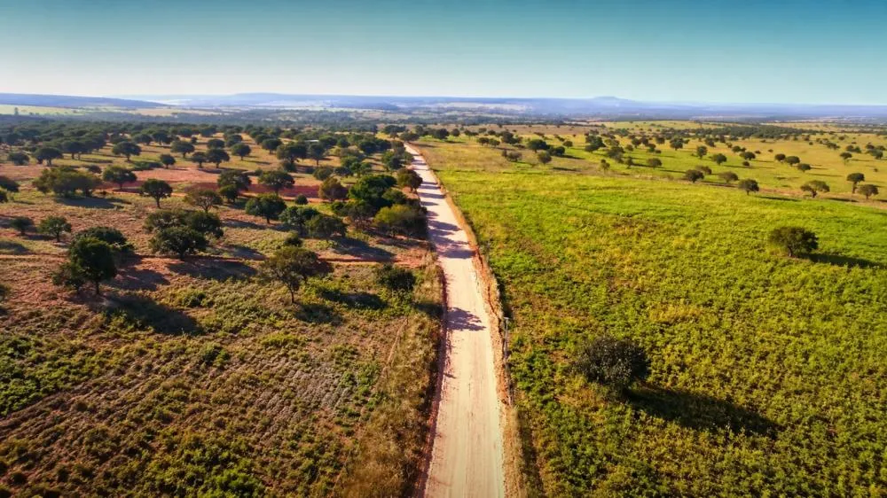 BR-030 avança com investimento de R$ 1 bilhão e promete ligar Bahia ao Centro-Oeste do país