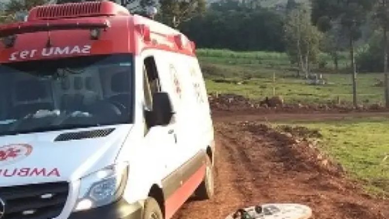 Agricultor é atacado por abelhas e morre em zona rural baiana
