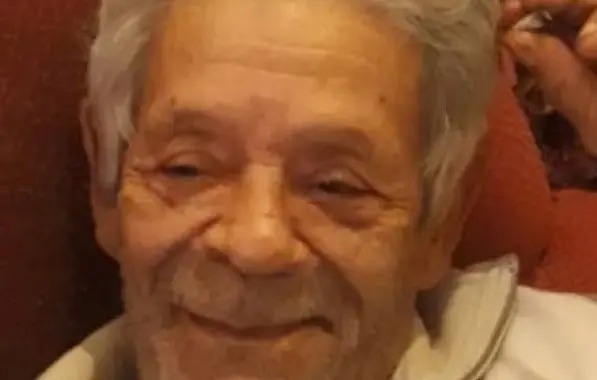 Idoso morre após ser atacado por abelhas no interior Bahia